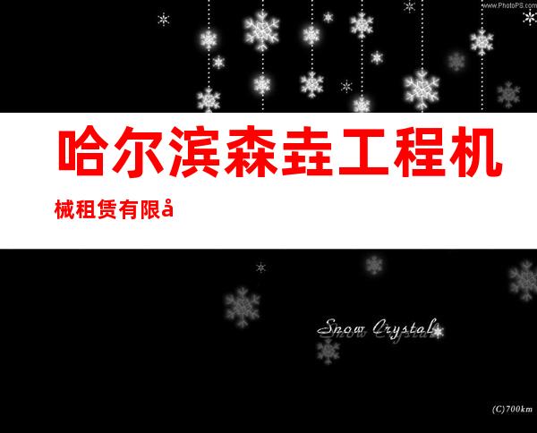 哈尔滨森垚工程机械租赁有限公司